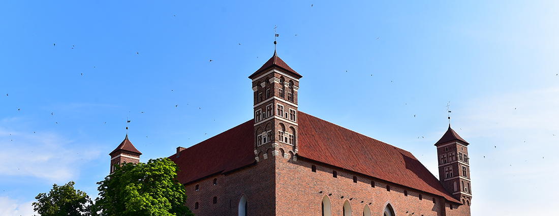 https://m.wmwm.pl/2021/08/orig/001-7075.jpg
