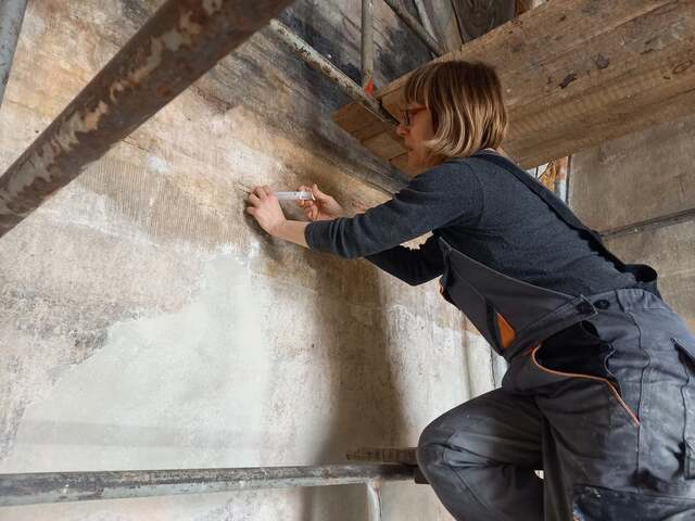 Conservation works on polychromes on the vault - full image