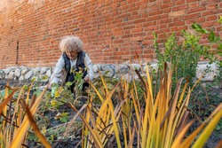 The first seedlings in the bishop's gardens.