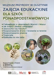 Oferta edukacyjna — Szkoła ponadpodstawowa