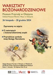 Warsztaty bożonarodzeniowe w Muzeum Przyrody w Olsztynie