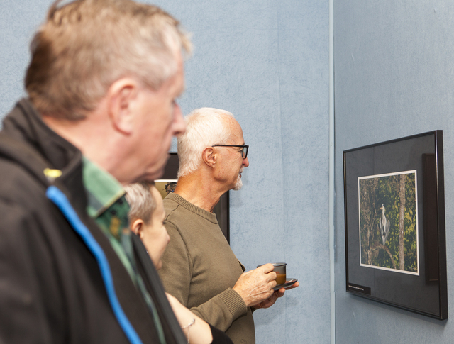 Moje spojrzenie na przyrodę