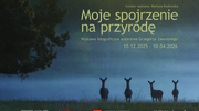 Moje spojrzenie na przyrodę